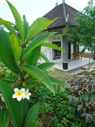 Bingin Family Bungalow Uluwatu Eksteriør billede